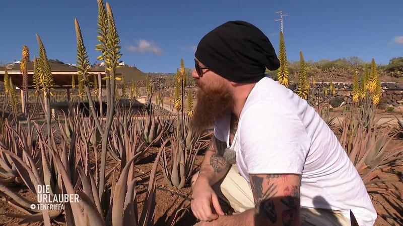 Kai und Sarah besuchen eine Aloe Vera Farm