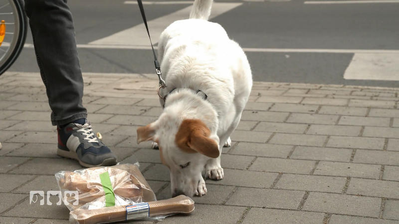 Für die Stadt Neuss ist die Tiertafel ein wichtiges Projekt