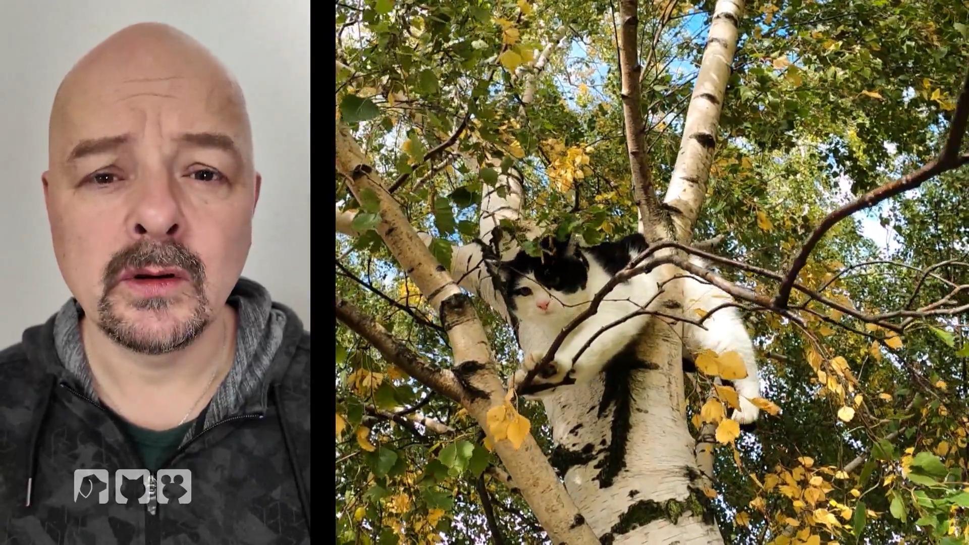 Stefan Bröckling im Einsatz für Kater Mio