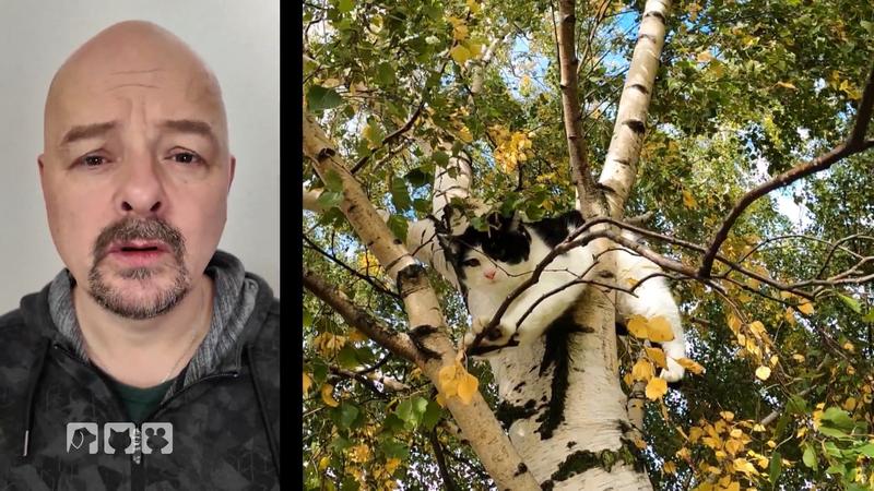 Stefan Bröckling im Einsatz für Kater Mio