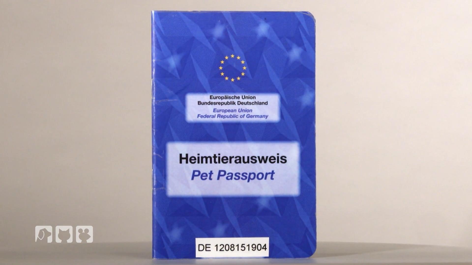 Rechte und Pflichten bei Auslandsreisen mit dem Tier