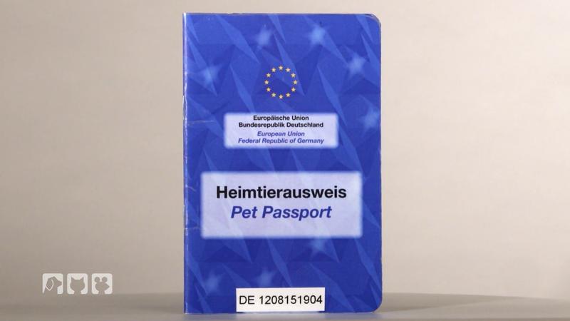 Rechte und Pflichten bei Auslandsreisen mit dem Tier