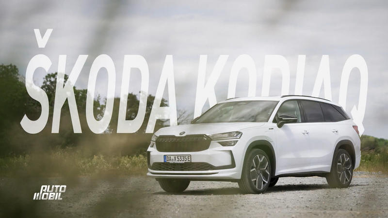 Bisher gab es nur Diesel oder Benziner