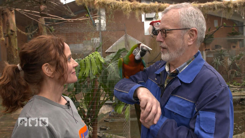 Wolfgang Busse hat ein Papageien-Paradies geschaffen