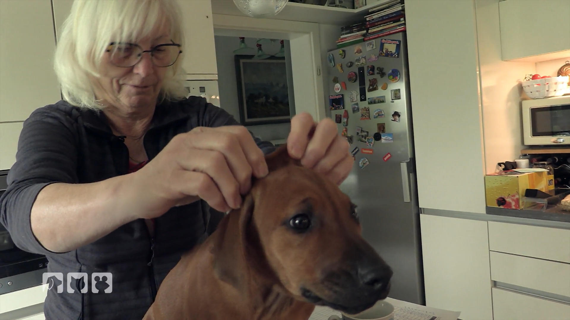 Wurfabnahme bei den Rhodesian Ridgeback Welpen
