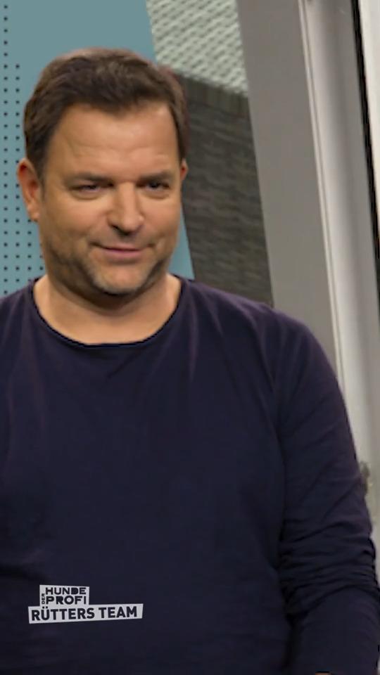 Pipi am Vorhang, Kacka im Schuh - Martin Rütter ist fassungslos