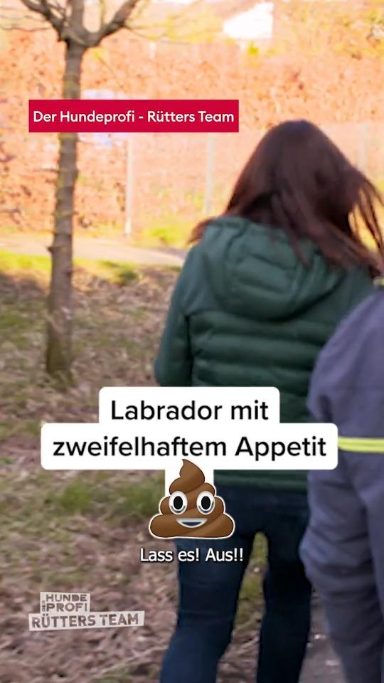Nala ist ein toller Familienhund, aber leider hat sie einen ekligen Tick