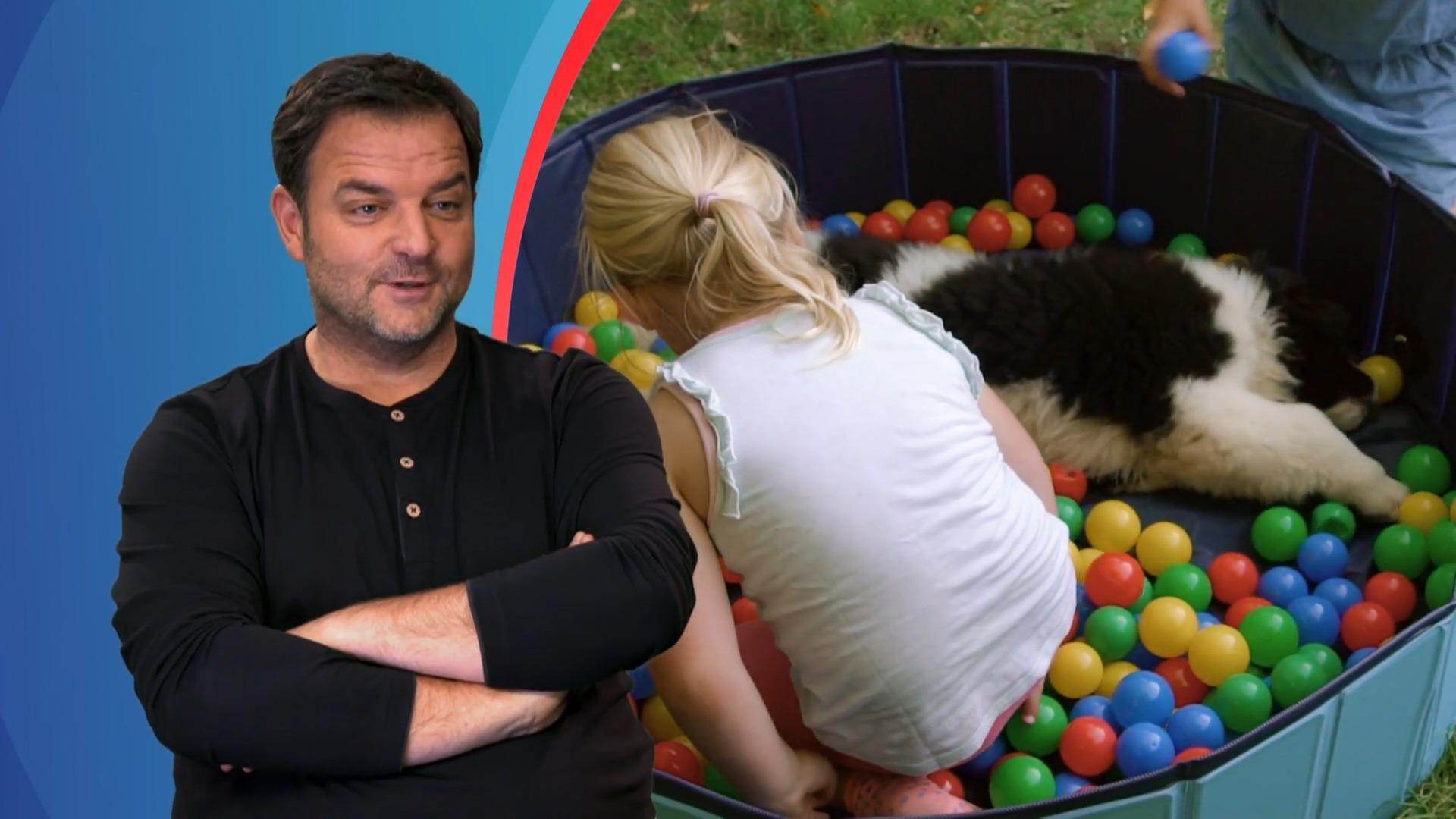 Welpe Dana entdeckt das Bällebad