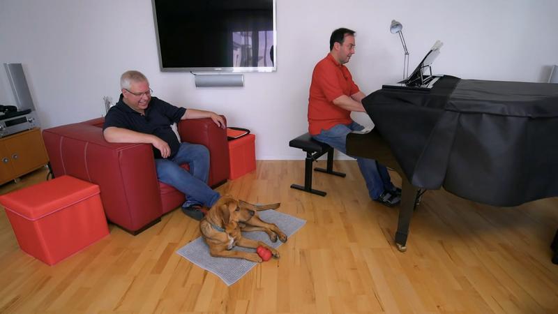 Welpe Caramelo lernt das neue Zuhause kennen