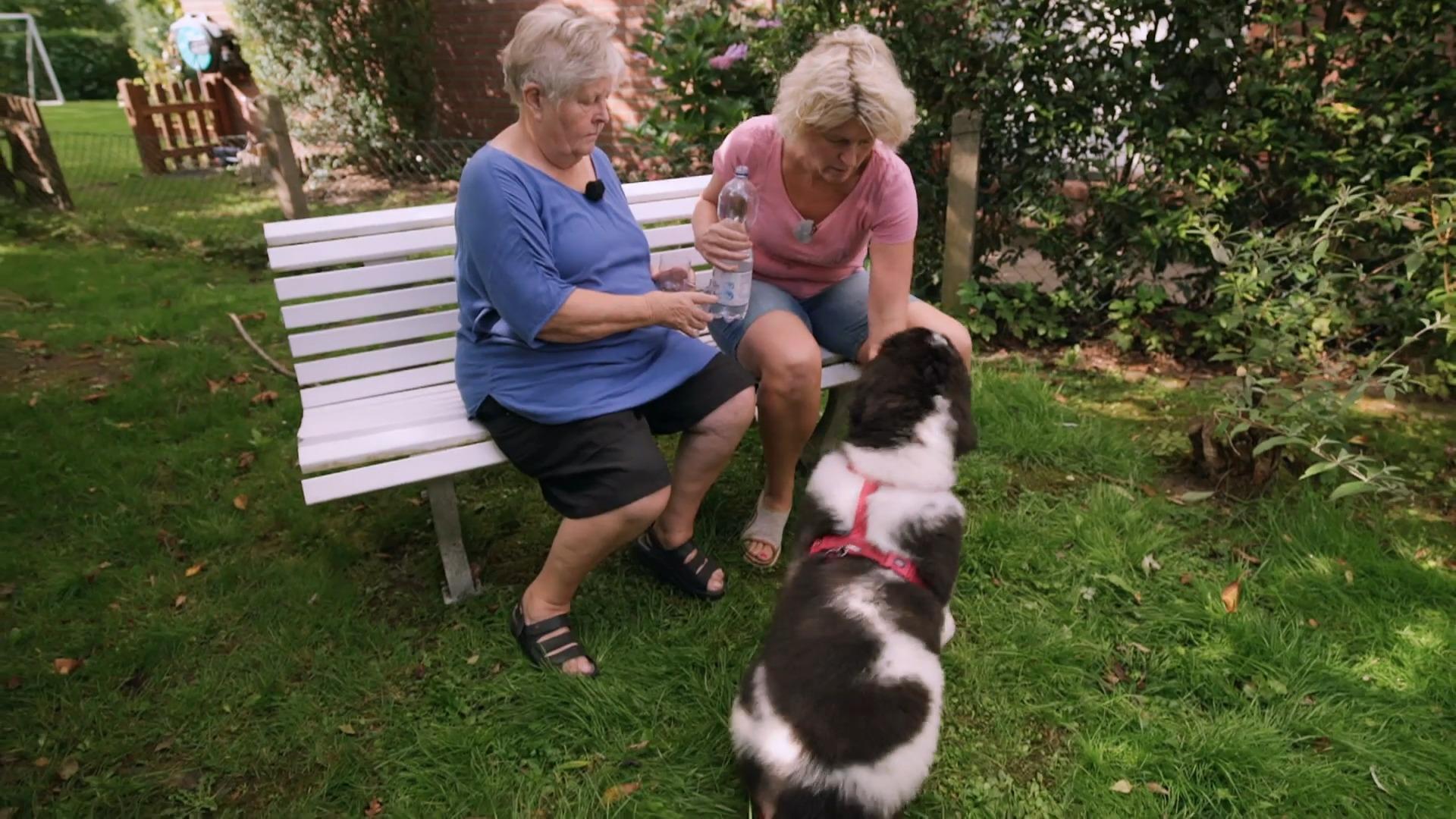 Ist Dana ruhiger geworden?