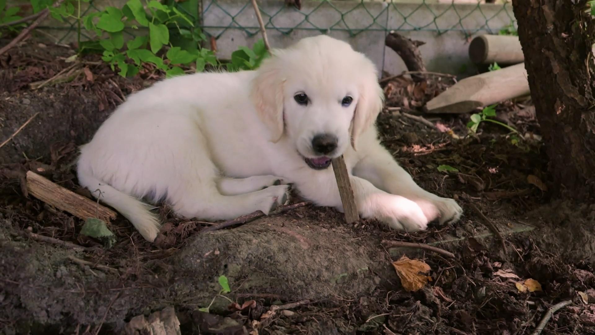 Neues Glück für Familie Spendel