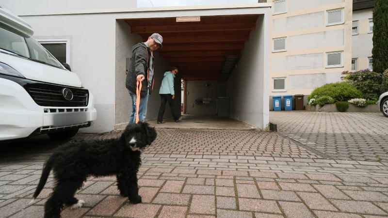 Balu will noch nicht ins Stadthaus
