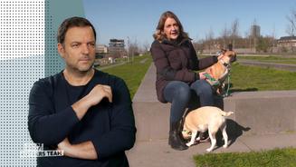 Elfie und Bruno sind "richtige Pöbler"