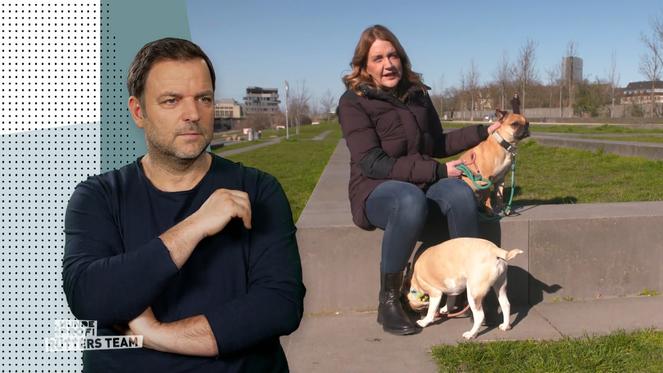 Martin Rütter ahnt, warum Bruno und Elfie sich so aggressiv verhalten