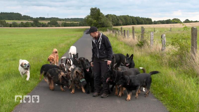 Bei Kathrin bekommen alle Hunde eine 2. Chance