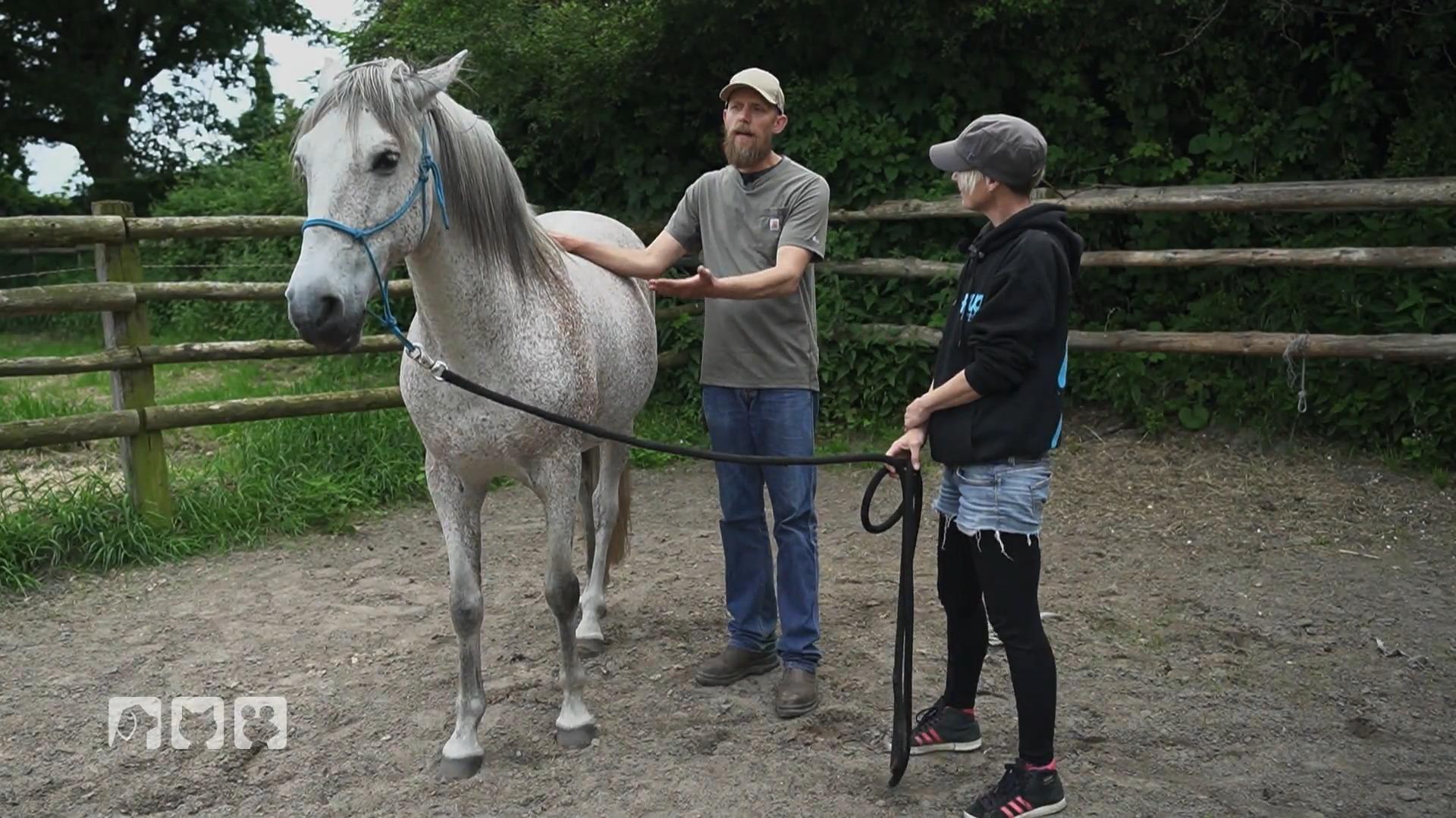 Snoopys Besitzerin lernt, seinem „Ja“ zu vertrauen
