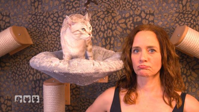 Wer kann's besser? Die Katze oder Kate Kitchenham?