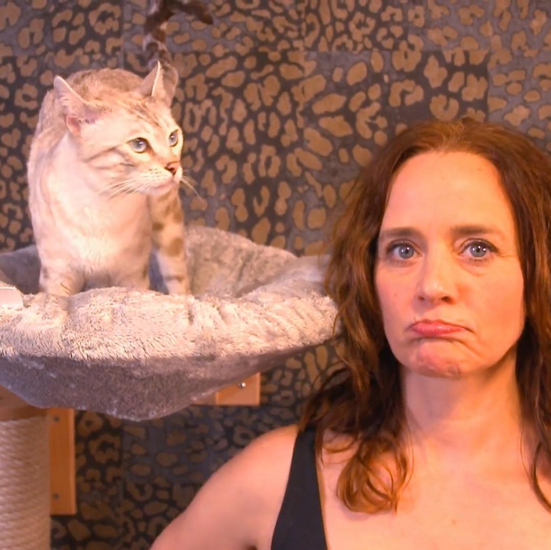 Kate Kitchenham tritt gegen eine Katze an – wer gewinnt?