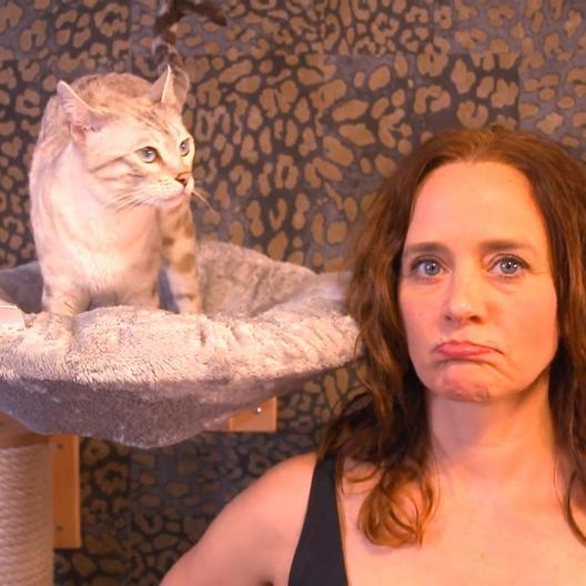 Wer kann's besser? Die Katze oder Kate Kitchenham?