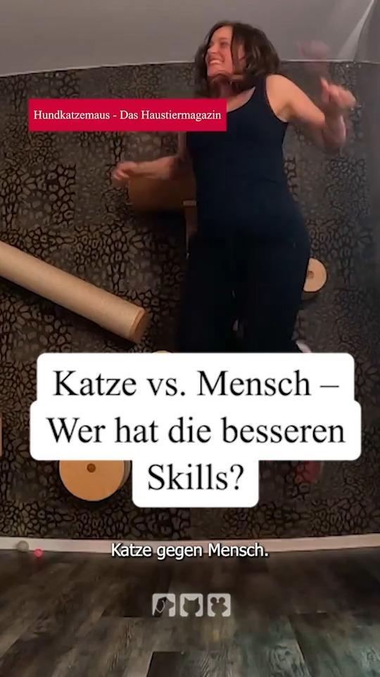 Wer bricht die Rekorde?