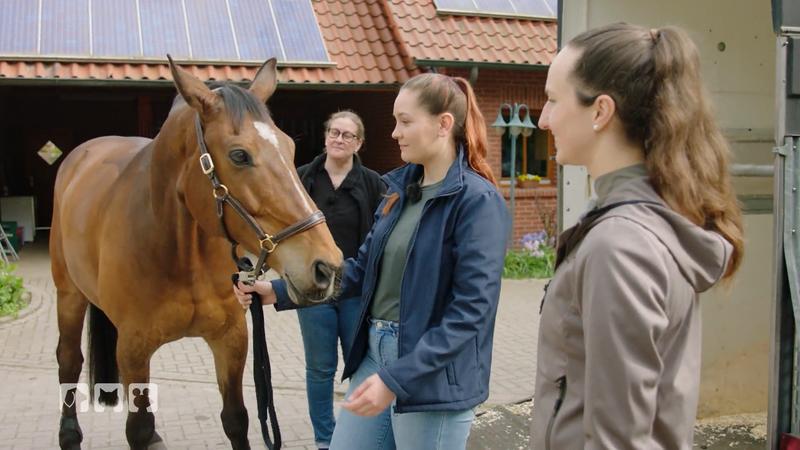 Zwei Geschwister helfen in Norddeutschland Pferden