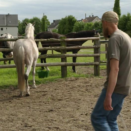 Wallach Snoopy hat das Vertrauen in Menschen verloren 