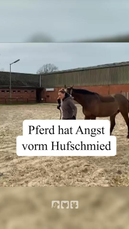 Angst vorm Hufschmid