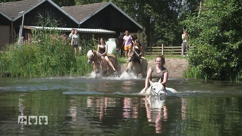 Wasserspaß mit Vierbeinern