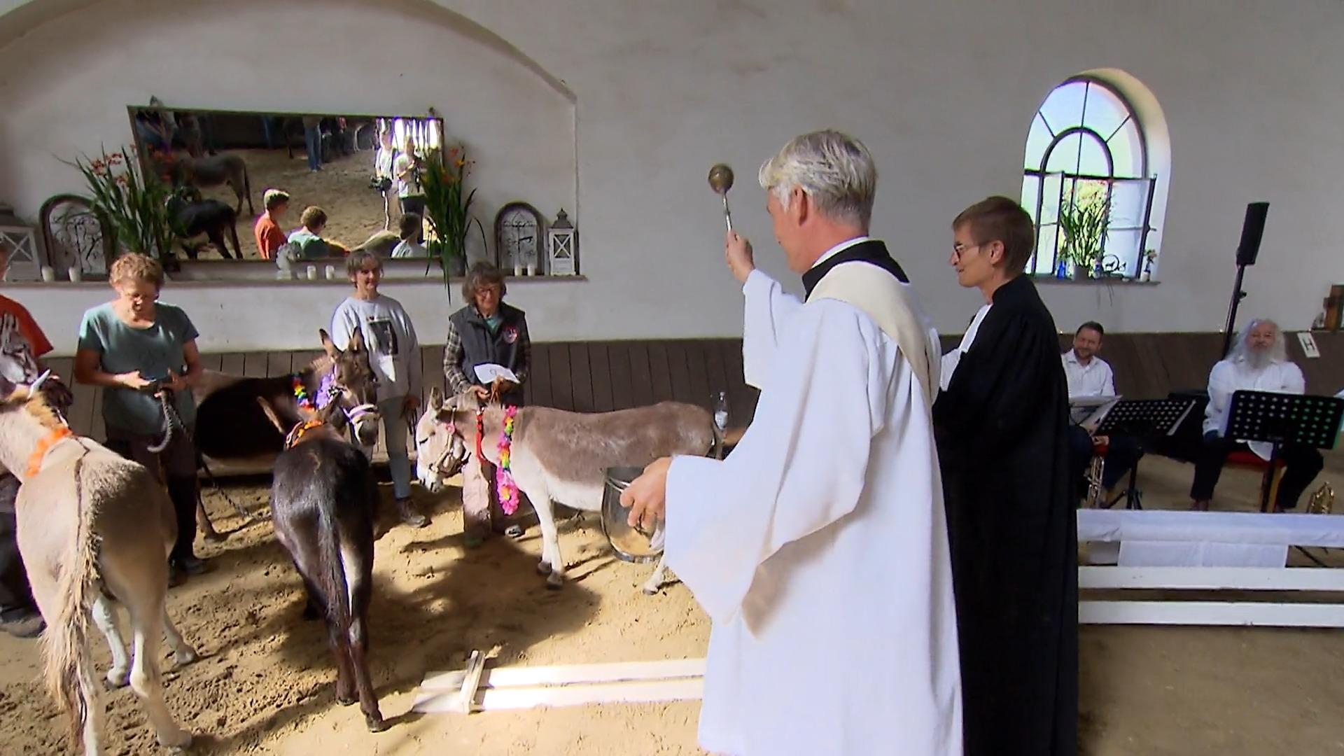 Gottesdienst mit Eseln