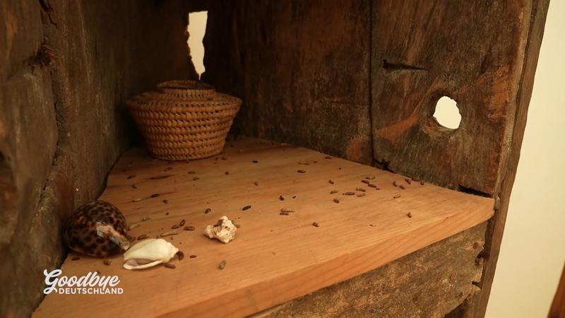 Franzis Albtraum im eigenen Haus