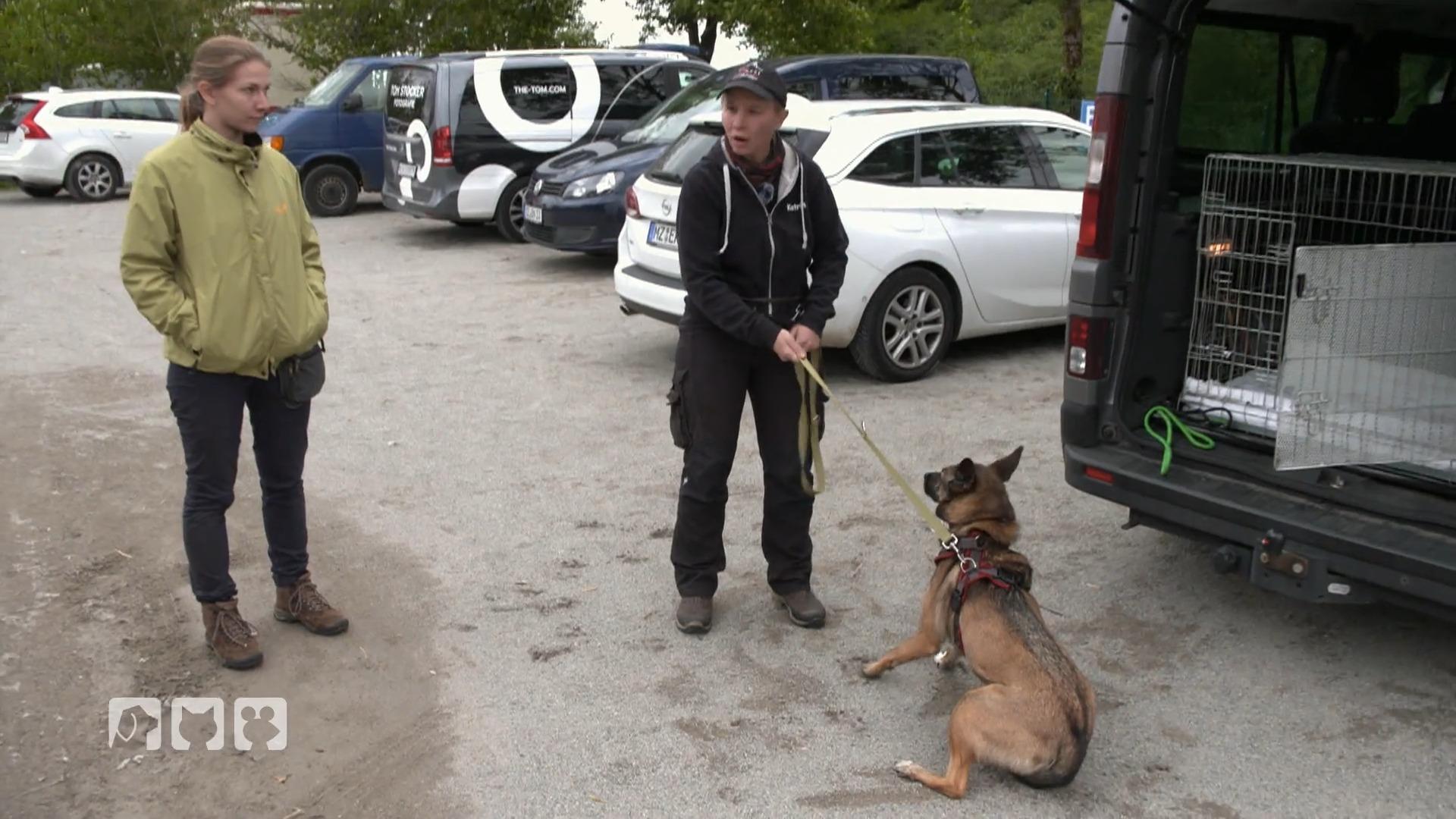 Notfall Cara bei Hundetrainerin Kathrin Scholz