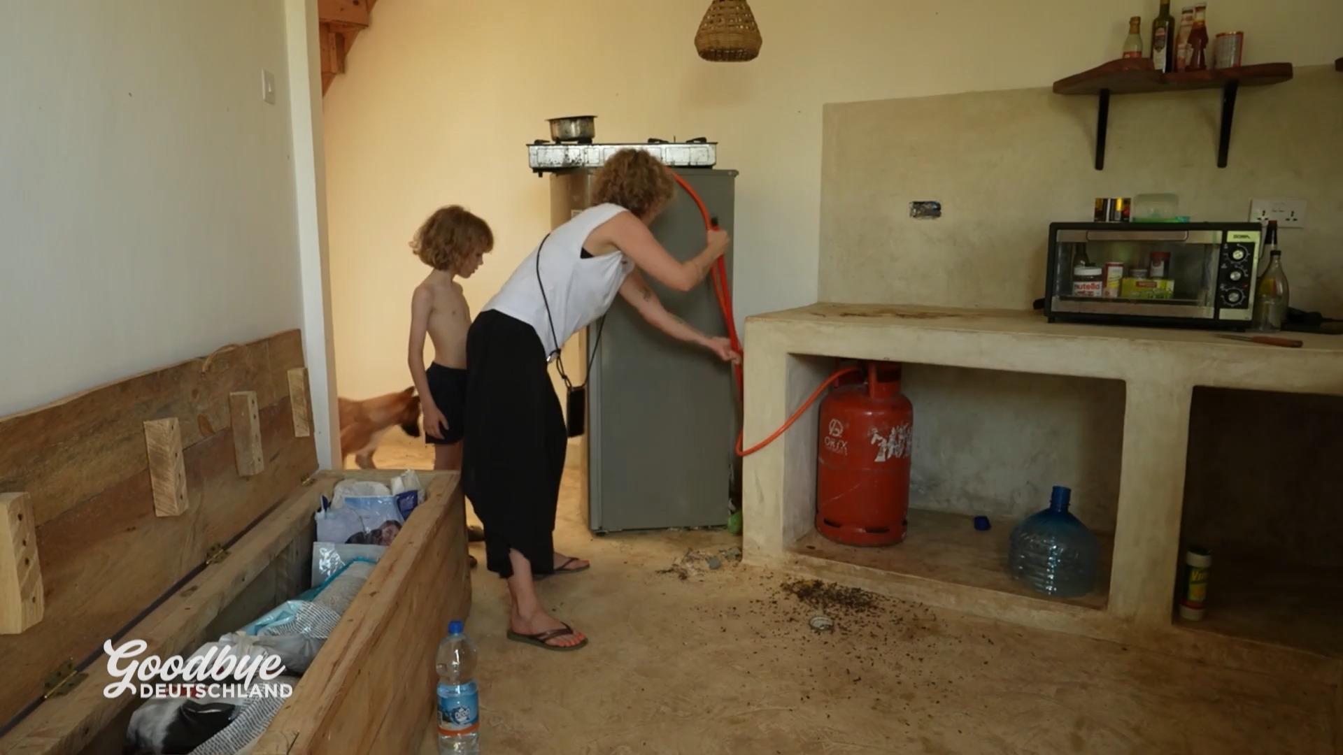 Die ganze Wohnung ist voller Mäusedreck