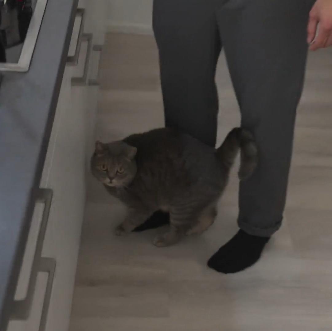 Marcos Kater stiehlt ihm die Show