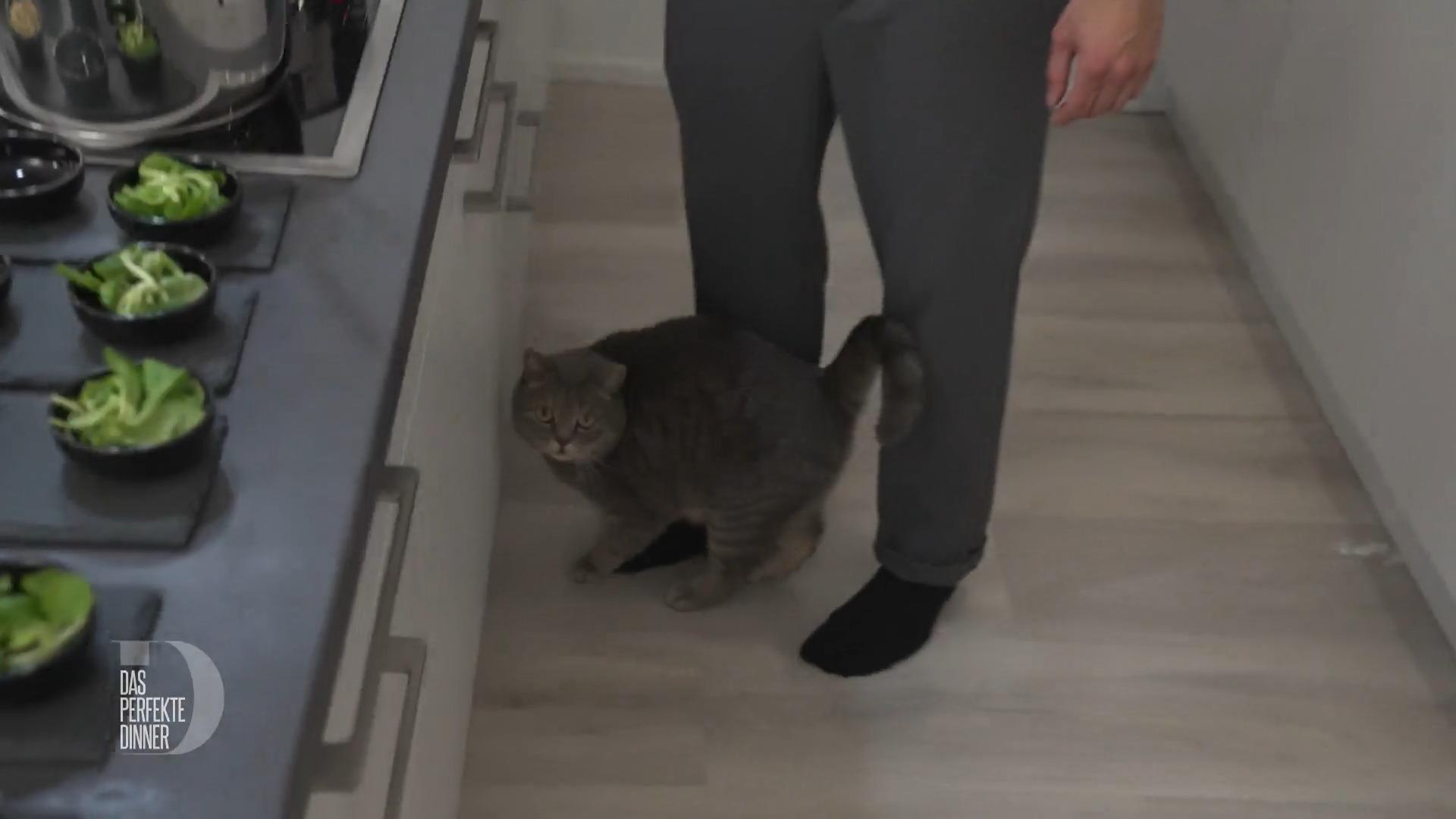 Marcos Kater stiehlt ihm die Show