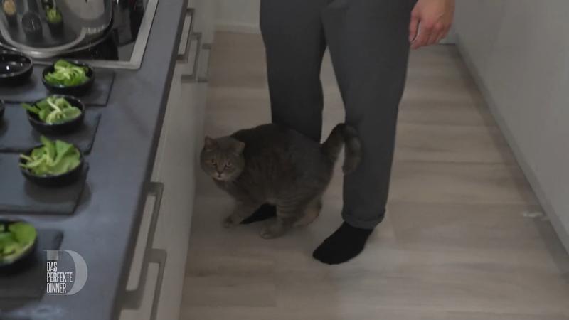 Marcos Kater stiehlt ihm die Show