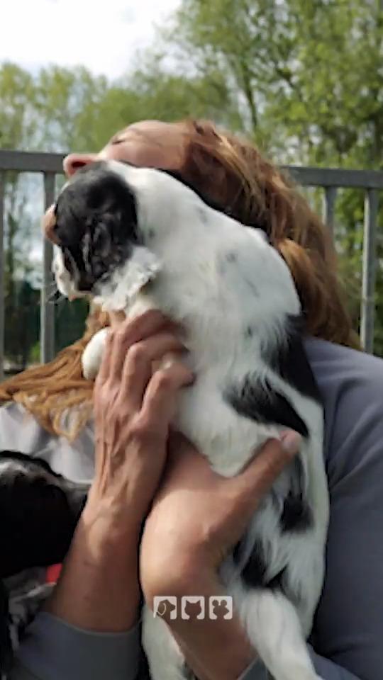 Kate Kitchenham stellt ihre kleine Hündin "Boo" vor