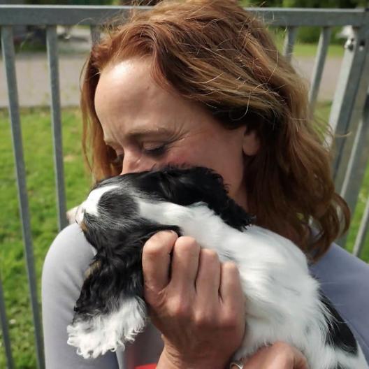 Welpe Boo zieht bei Kate und Knox ein