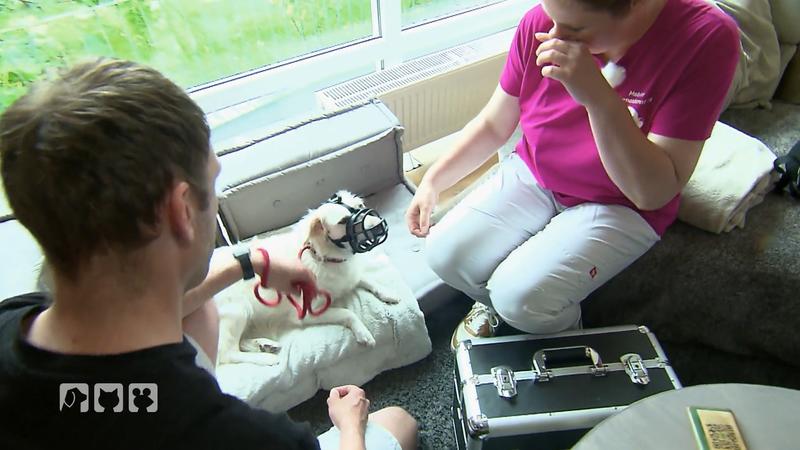 Tiernotdienst auf dem Weg nach Rösrath