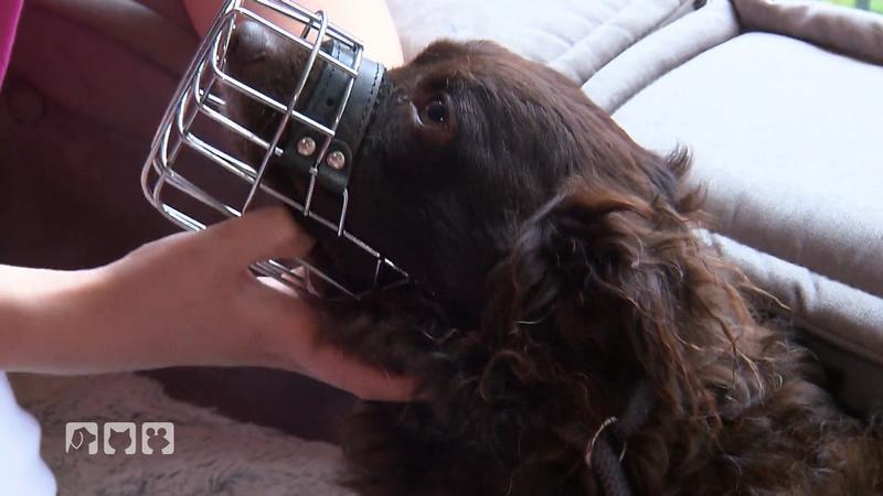 Tierärztin behandelt zweiten Patienten