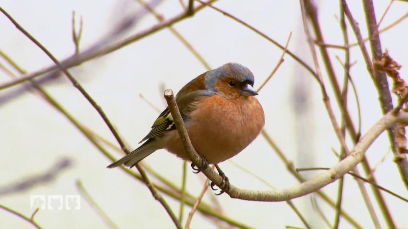 Was Jungtiere wirklich brauchen