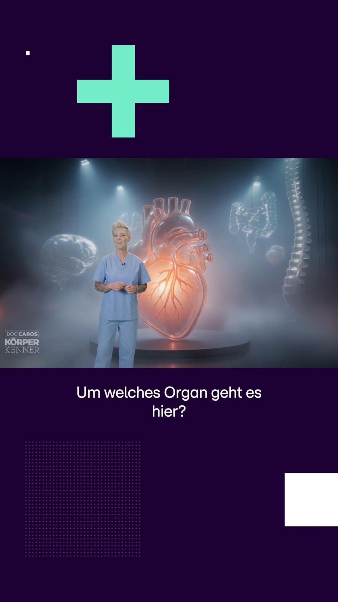 Welches Organ heilt sich selbst?