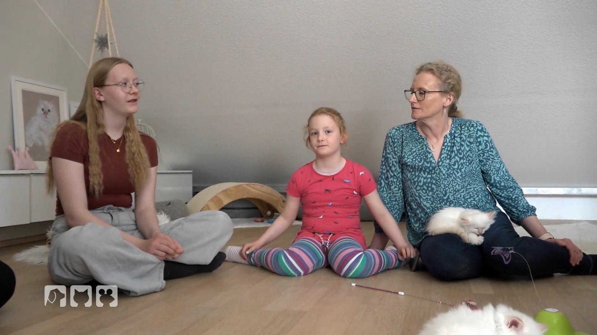 Familie ist begeistert von den Kitten