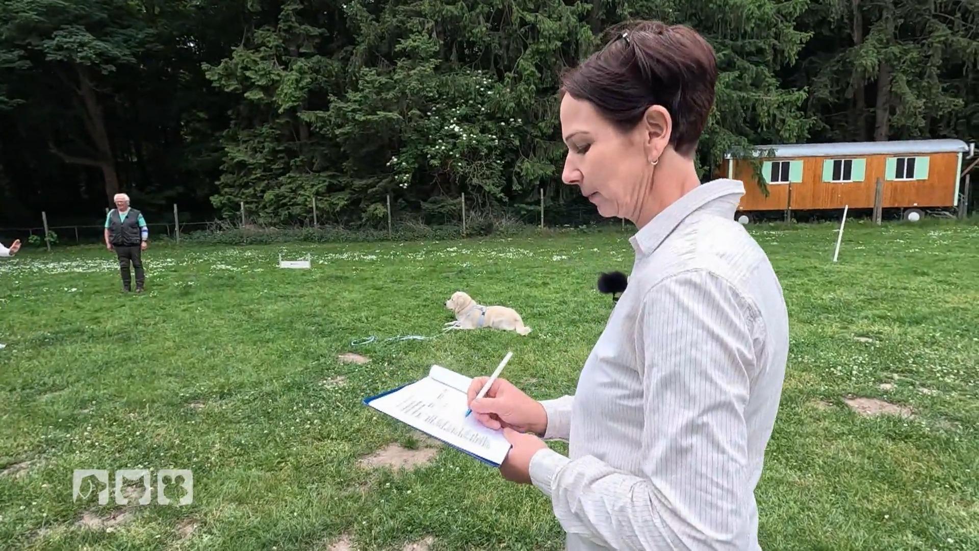 Kate Kitchenham testet den Hundeführerschein