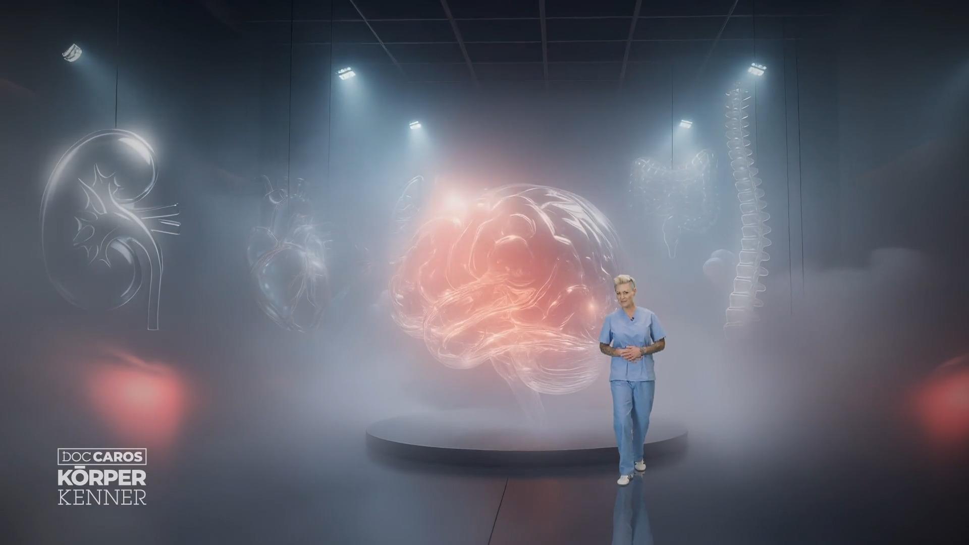 Die Rubrik Das zweite Gehirn beginnt