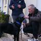 Doro und Bernds Reise mit ihrem stürmischen Hund!"