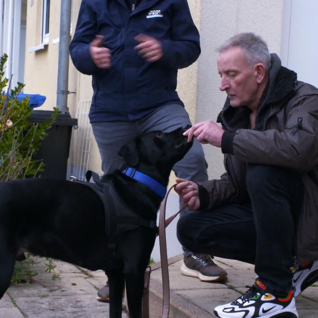 Jetzt greift Hundetrainer Marcel Wunderlich ein