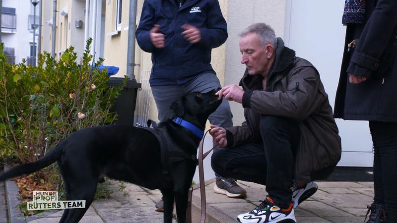 Jetzt greift Hundetrainer Marcel Wunderlich ein
