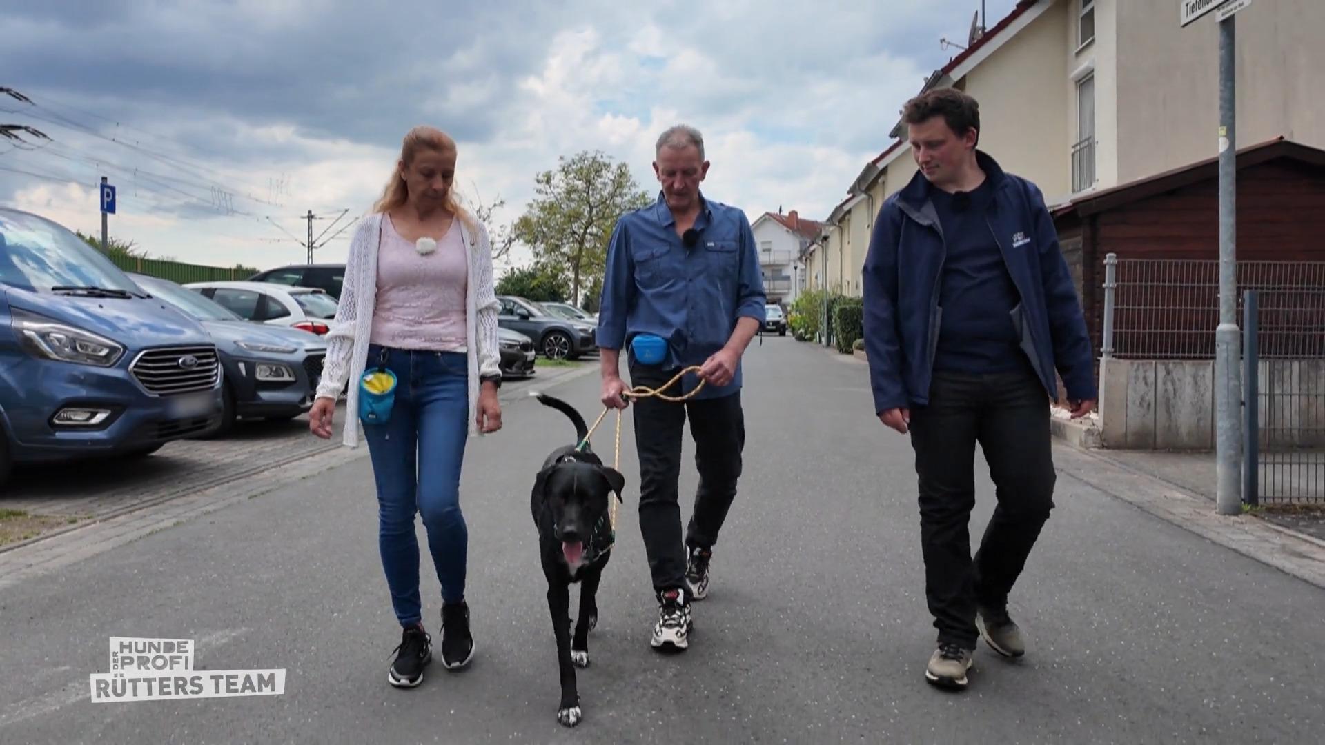 Erste Fortschritte beim Spaziergang sichtbar