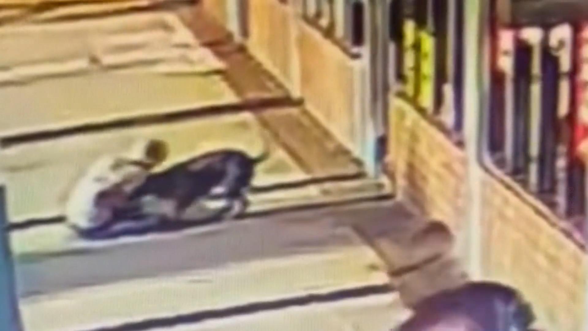 Oma (70) beißt Pitbull – weil sie sich nicht anders zu helfen weiß!