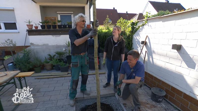 Der Garten wird zum Wettlauf gegen die Uhr